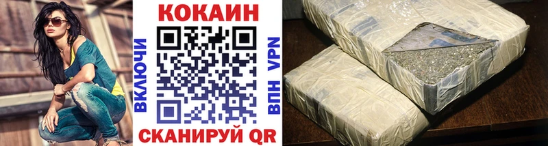 Купить закладки  Верхняя Пышма  COCAIN Fish Scale 